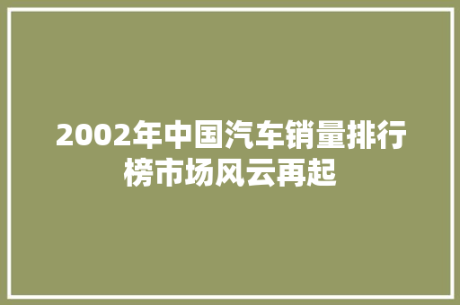 2002年中国汽车销量排行榜市场风云再起
