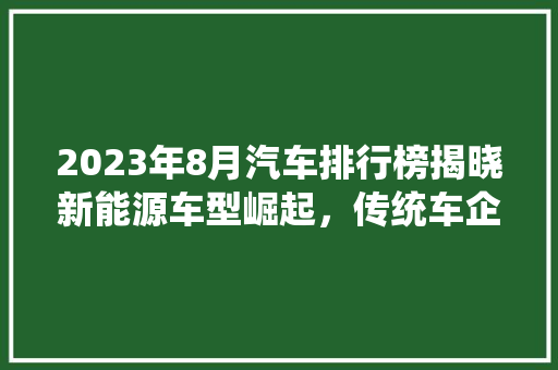 2023年8月汽车排行榜揭晓新能源车型崛起，传统车企再迎挑战