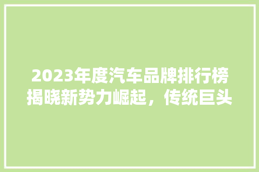 2023年度汽车品牌排行榜揭晓新势力崛起，传统巨头稳固