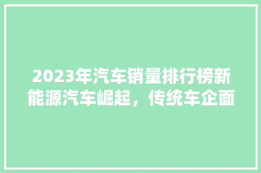 2023年汽车销量排行榜新能源汽车崛起，传统车企面临挑战