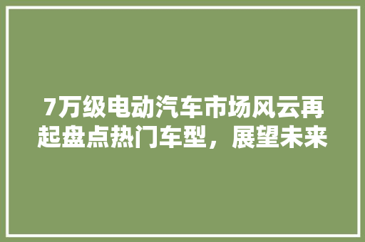 7万级电动汽车市场风云再起盘点热门车型，展望未来趋势