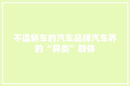 不造轿车的汽车品牌汽车界的“异类”群体