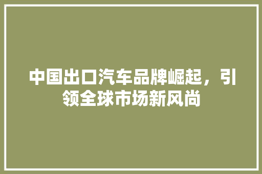中国出口汽车品牌崛起，引领全球市场新风尚