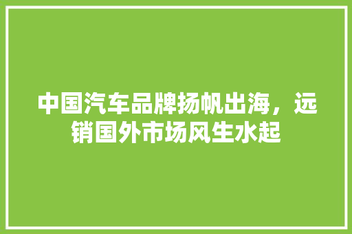 中国汽车品牌扬帆出海，远销国外市场风生水起