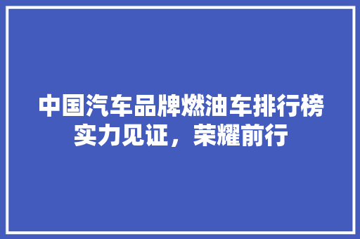 中国汽车品牌燃油车排行榜实力见证，荣耀前行