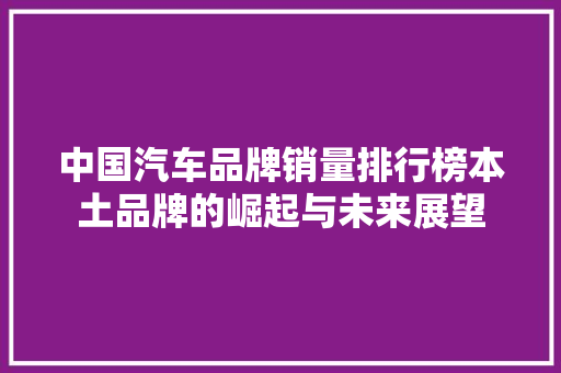 中国汽车品牌销量排行榜本土品牌的崛起与未来展望