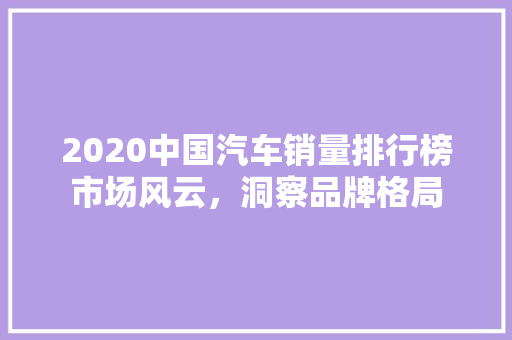 2020中国汽车销量排行榜市场风云，洞察品牌格局