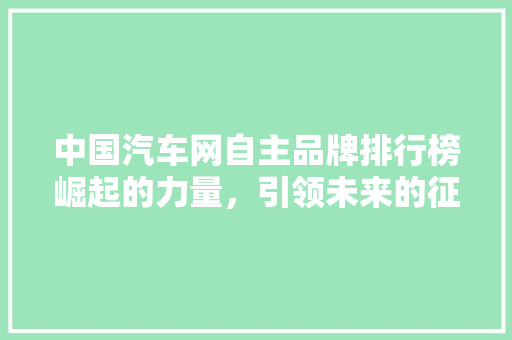 中国汽车网自主品牌排行榜崛起的力量，引领未来的征程