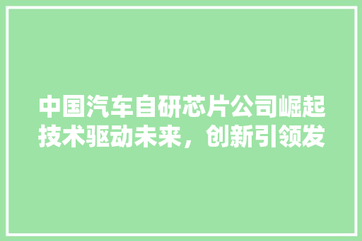 中国汽车自研芯片公司崛起技术驱动未来，创新引领发展
