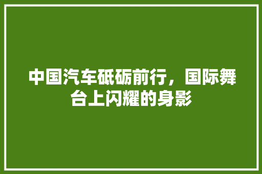中国汽车砥砺前行，国际舞台上闪耀的身影