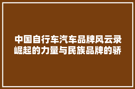 中国自行车汽车品牌风云录崛起的力量与民族品牌的骄傲