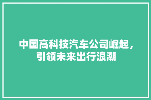中国高科技汽车公司崛起，引领未来出行浪潮