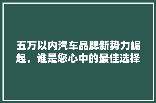 五万以内汽车品牌新势力崛起，谁是您心中的最佳选择
