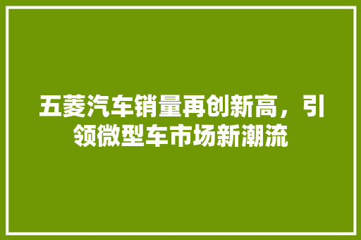 五菱汽车销量再创新高，引领微型车市场新潮流