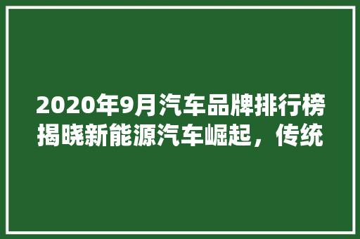 2020年9月汽车品牌排行榜揭晓新能源汽车崛起，传统车企稳扎稳打