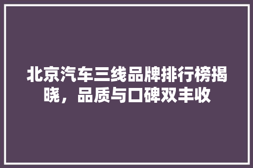 北京汽车三线品牌排行榜揭晓，品质与口碑双丰收