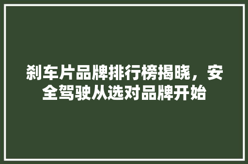 刹车片品牌排行榜揭晓，安全驾驶从选对品牌开始