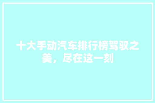 十大手动汽车排行榜驾驭之美，尽在这一刻