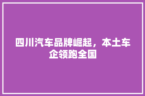 四川汽车品牌崛起，本土车企领跑全国