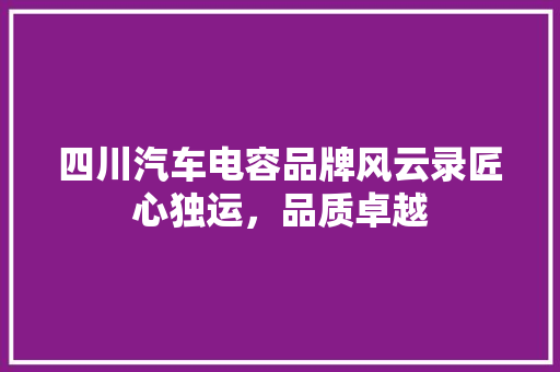 四川汽车电容品牌风云录匠心独运，品质卓越