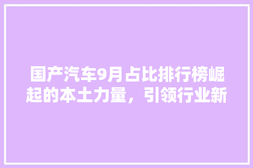国产汽车9月占比排行榜崛起的本土力量，引领行业新风向