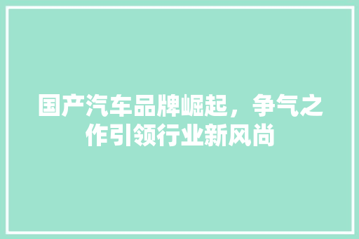 国产汽车品牌崛起，争气之作引领行业新风尚