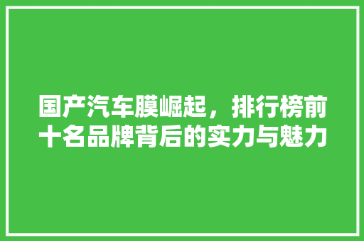 国产汽车膜崛起，排行榜前十名品牌背后的实力与魅力