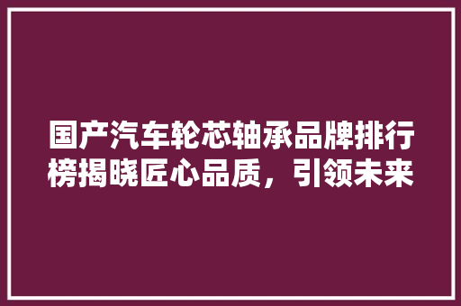 国产汽车轮芯轴承品牌排行榜揭晓匠心品质，引领未来