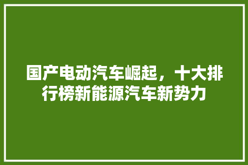国产电动汽车崛起，十大排行榜新能源汽车新势力