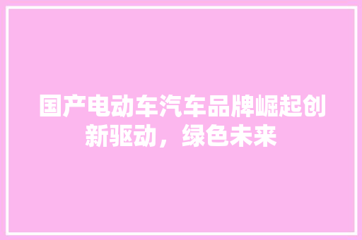 国产电动车汽车品牌崛起创新驱动，绿色未来