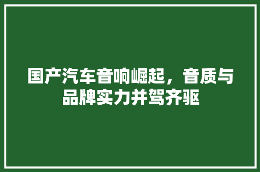 国产汽车音响崛起，音质与品牌实力并驾齐驱