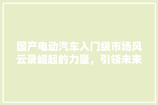 国产电动汽车入门级市场风云录崛起的力量，引领未来出行