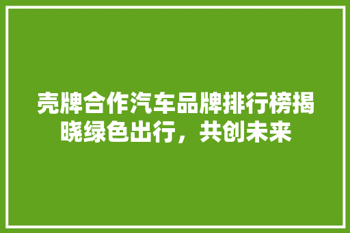 壳牌合作汽车品牌排行榜揭晓绿色出行，共创未来