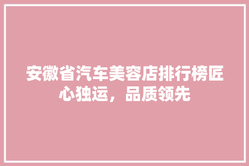 安徽省汽车美容店排行榜匠心独运，品质领先