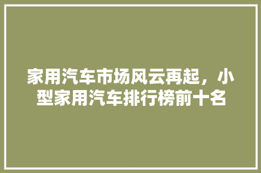 家用汽车市场风云再起，小型家用汽车排行榜前十名